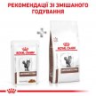 Фото - ветеринарные корма Royal Canin GASTRO INTESTINAL лечебные консервы для кошек при нарушениях пищеварения