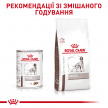 Фото 2 - ветеринарні корми Royal Canin HEPATIC лікувальний вологий корм для собак при захворюваннях печінки