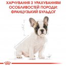 Фото - сухой корм Royal Canin FRENCH BULLDOG PUPPY (ФРАНЦУЗCКИЙ БУЛЬДОГ ПАППИ) корм для щенков до 12 месяцев