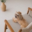 Фото 5 - одяг Pet Fashion Print панама для собак