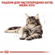 Фото - сухий корм Royal Canin MAINE COON (МЕЙН-КУН) корм для кішок від 1 року