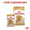 Фото - влажный корм (консервы) Royal Canin POMERANIAN ADULT (ПОМЕРАНСКИЙ ШПИЦ) влажный корм для собак от 8 месяцев