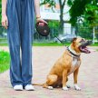 Фото 4 - рулетки WAUDOG R-leash поводок рулетка с контейнером для пакетов, светоотражающая лента, черный