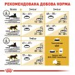 Фото - сухий корм Royal Canin BENGAL ADULT (БЕНГАЛ ЕДАЛТ) корм для котів від 1 року