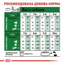 Фото - сухой корм Royal Canin MINI ADULT 8+ (СОБАКИ МЕЛКИХ ПОРОД ЭДАЛТ 8+) корм для собак от 8 лет