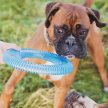 Фото 4 - игрушки CHUCKIT Rugged Flyer игрушка для собак ЛЕТАЮЩЕЕ КОЛЬЦО, синий