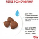 Фото - сухий корм Royal Canin MEDIUM STARTER MOTHER & BABYDOG корм для вагітних та годуючих сук та цуценят середніх порід