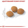 Фото - сухий корм Royal Canin PROTEIN EXIGENT (ПРОТЕЇН ЕКСИДЖЕНТ ДЛЯ ВИБАГЛИВИХ) сухий корм для дорослих кішок