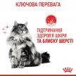 Фото - влажный корм (консервы) Royal Canin HAIR & SKIN Care in JELLY корм для кошек