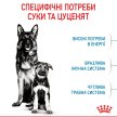 Фото - сухий корм Royal Canin MAXI STARTER MOTHER & BABYDOG корм для вагітних і годуючих сук і цуценят великих-порід