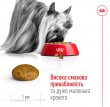 Фото 3 - сухий корм Royal Canin X-SMALL ADULT 8+ (СОБАКИ ДРІБНИХ ПОРІД ЕДАЛТ 8+) корм для собак від 8 років