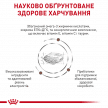 Фото 3 - ветеринарные корма Royal Canin GASTROINTESTINAL LOW FAT SMALL DOG лечебный корм для собак мелких пород при нарушениях пищеварения