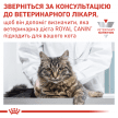 Фото 8 - ветеринарные корма Royal Canin SENSITIVITY CONTROL лечебные консервы для кошек при пищевой аллергии