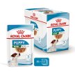 Фото - влажный корм (консервы) Royal Canin MINI PUPPY влажный корм для щенков мелких пород от 2 до 10 месяцев