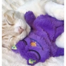 Фото 3 - игрушки Petstages PURR PILLOW игрушка - подушка антиcтресс для кошек КОТ
