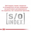 Фото - ветеринарные корма Royal Canin ANALLERGENIC сухой лечебный корм для кошек