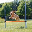 Фото 3 - дрессировка и спорт Trixie Hurdle - барьер для тренировки собак (3207)