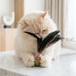 Фото 4 - іграшки Collar WAUCAT Fun Natural іграшка для котів з котячою м'ятою НЕВАЛЯЙКА