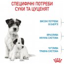 Фото - сухий корм Royal Canin MINI STARTER MOTHER & BABYDOG корм для вагітних та годуючих сук та цуценят міні-порід