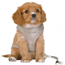 Фото 6 - Категории Trixie Junior Puppy Soft Harness with Lead шлейка с поводком для щенков, светло-серый