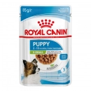 Фото - вологий корм (консерви) Royal Canin X-SMALL PUPPY вологий корм для цуценят мініатюрних порід