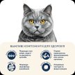 Фото 5 - сухой корм Home Food (Хоум Фуд) Cat Adult Turkey & Duck корм для кошек британских и шотландских пород ИНДЕЙКА и УТКА