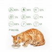 Фото 6 - вологий корм (консерви) Baskerville Holistic вологий корм для котів ДИКИЙ КАБАН