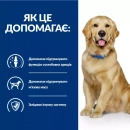 Фото 5 - ветеринарні корми Hill's Prescription Diet j/d Joint Care корм для собак з куркою