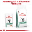 Фото - ветеринарные корма Royal Canin DIABETIC лечебные консервы для кошек с сахарным диабетом