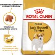 Фото - сухий корм Royal Canin JACK RUSSELL ADULT (ДЖЕК РАССЕЛ ЕДАЛТ) корм для собак від 10 місяців