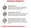 Фото - ветеринарні корми Royal Canin GASTRO INTESTINAL KITTEN повнораціонний дієтичний для кошенят від 2 до 10 місяців при порушеннях травлення