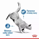 Фото - влажный корм (консервы) Royal Canin LIGHT WEIGHT Loaf влажный корм для кошек