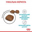 Фото 9 - сухой корм Royal Canin URINARY CARE сухой корм для кошек от 1 до 12 лет