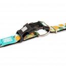 Фото - амуниция Max & Molly Urban Pets Smart ID Collar ошейник для собак с QR-кодом Sweet Pineapple