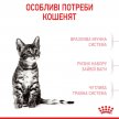 Фото - сухой корм Royal Canin KITTEN STERILISED (КИТТЕН СТЕРИЛИЗЕД) корм для стерилизованных котят от 6 до 12 месяцев