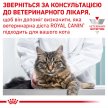 Фото - ветеринарные корма Royal Canin ANALLERGENIC сухой лечебный корм для кошек