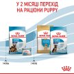 Фото - сухий корм Royal Canin MAXI STARTER MOTHER & BABYDOG корм для вагітних і годуючих сук і цуценят великих-порід