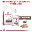 Фото 8 - ветеринарные корма Royal Canin GASTROINTESTINAL LOW FAT SMALL DOG лечебный корм для собак мелких пород при нарушениях пищеварения