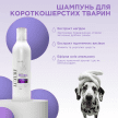 Фото 3 - щоденний догляд (шампуні, кондиціонери та інші засоби) Modes Luxury Shampoo преміальний шампунь для короткошерстих котів і собак