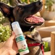 Фото 6 - для зубів та пащі Vets Best Dental Foam стоматологічна піна для догляду за зубами та ротовою порожниною собак