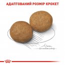 Фото - сухой корм Royal Canin MEDIUM ADULT (СОБАКИ СРЕДНИХ ПОРОД ЭДАЛТ) корм для собак от 12 месяцев