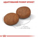 Фото - сухой корм Royal Canin MEDIUM ADULT 7+ (СОБАКИ СРЕДНИХ ПОРОД ЭДАЛТ 7+) корм для собак от 7 лет