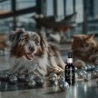 Фото 4 - для ушей Superium Сильвер капли ушные с коллоидным серебром для котов и собак