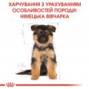 Фото - сухий корм Royal Canin GERMAN SHEPHERD PUPPY (НІМЕЦЬКА ВІВЧАРКА) корм для цуценята до 15 місяців