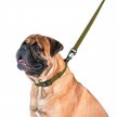 Фото 3 - амуніція Collar EVOLUTOR  надзвичайно міцний повідець для собак ХАКІ
