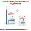 Фото - ветеринарні корми Royal Canin HYPOALLERGENIC SMALL DOG сухий лікувальний корм для собак дрібних порід