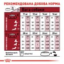 Фото - сухой корм Royal Canin MEDIUM ADULT (СОБАКИ СРЕДНИХ ПОРОД ЭДАЛТ) корм для собак от 12 месяцев