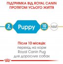 Фото - сухой корм Royal Canin PUG PUPPY (МОПС ПАППИ) корм для щенков до 10 месяцев