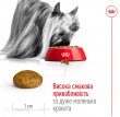 Фото 3 - сухий корм Royal Canin X-SMALL ADULT (СОБАКИ ДРІБНИХ ПОРІД ЕДАЛТ) корм для собак від 10 місяців