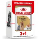 Фото - влажный корм (консервы) Royal Canin YORKSHIRE TERRIER ADULT (ЙОРКШИР ТЕРЬЕР ЭДАЛТ) влажный корм для собак старше 10 месяцев